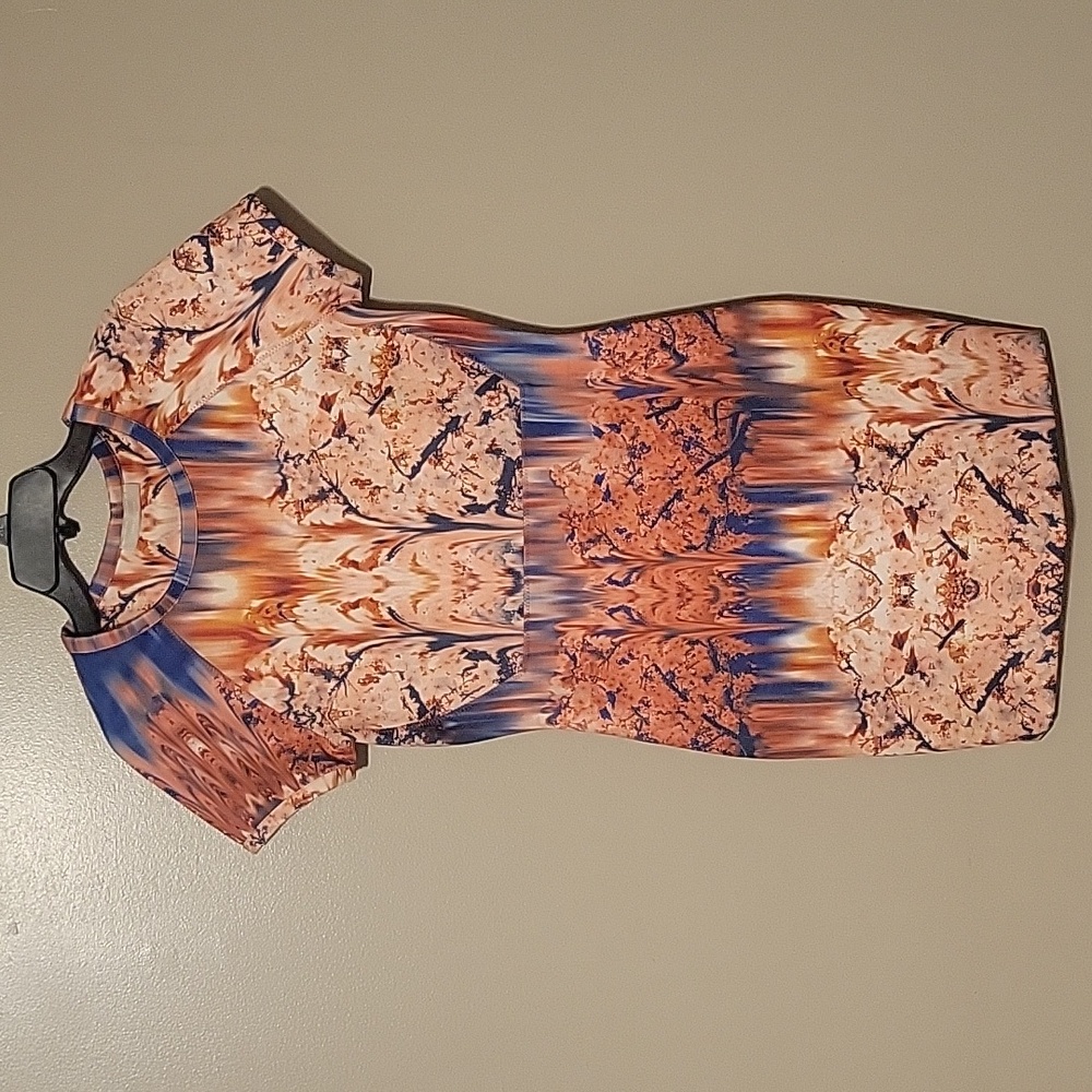 Zara Women’s Medium Scuba Neoprene Cherry Blossom Printed‎ Short Sleeved Dress